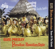 Paradise Hawaiian Style - Drums Of The Islands