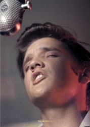 The King Elvis Presley, Front Cover, Book, 2013, Elvis and the Birth of Rock and Roll
