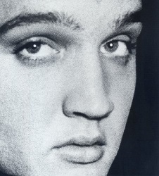 The King Elvis Presley, Front Cover, Book, 1993, Elvis 1956 Reflections