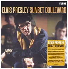 Elvis On Tour
