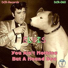 You Ain't Nothing But A Hound Dog