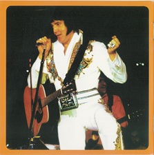 The King Elvis Presley, Import, 2006, Elvis Tennessee Starlight