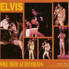 Wild Tiger At The Hilton