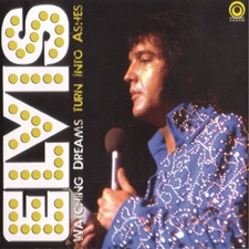 Watching Dreams Turn Into Ashes