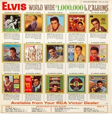 Elvis For Everyone