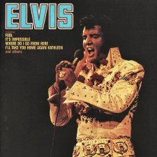 Elvis (Fool)