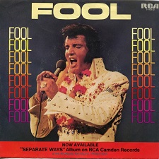 The Fool